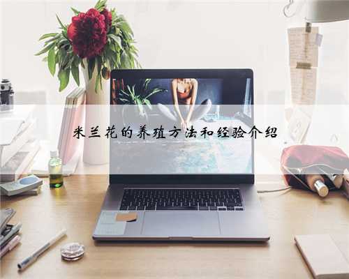 米兰花的养殖方法和经验介绍