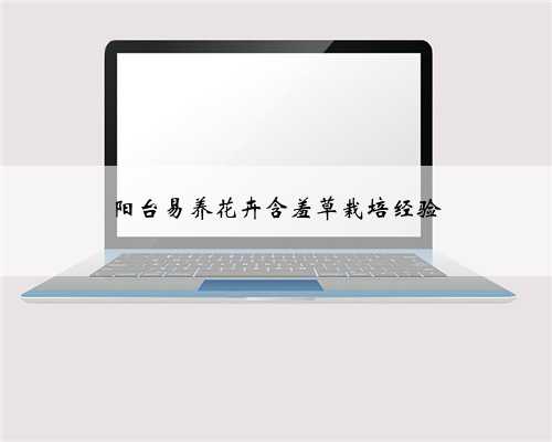 阳台易养花卉含羞草栽培经验