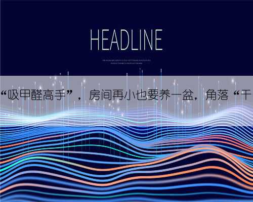 5种花是“吸甲醛高手”，房间再小也要养一盆，角落“干干净净”