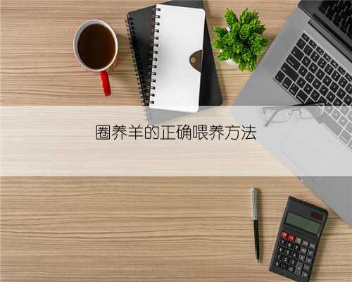 圈养羊的正确喂养方法