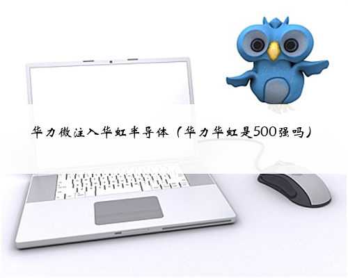 华力微注入华虹半导体（华力华虹是500强吗）