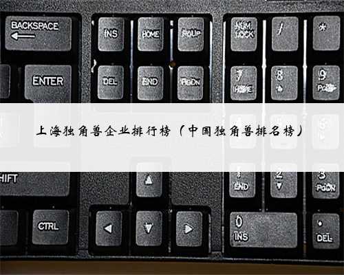 上海独角兽企业排行榜（中国独角兽排名榜）