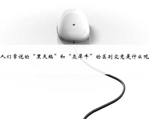 人们常说的“黑天鹅”和“灰犀牛”的区别究竟是什么呢