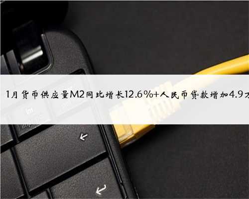 央行：1月货币供应量M2同比增长12.6% 人民币贷款增加4.9万亿元