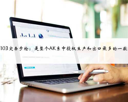 AK-103突击步枪；是整个AK系中授权生产和出口最多的一款枪