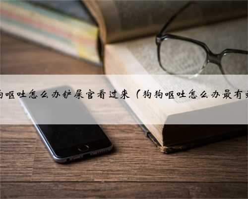 狗狗呕吐怎么办铲屎官看过来（狗狗呕吐怎么办最有效）