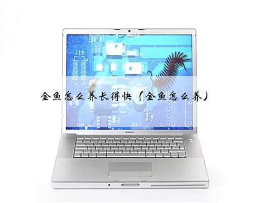 金鱼怎么养长得快（金鱼怎么养）
