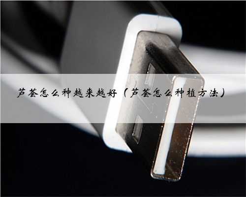 芦荟怎么种越来越好（芦荟怎么种植方法）