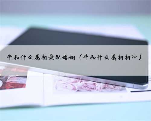 牛和什么属相最配婚姻（牛和什么属相相冲）