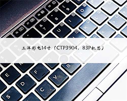 三洋彩电14寸（CTP3904，83P机芯）