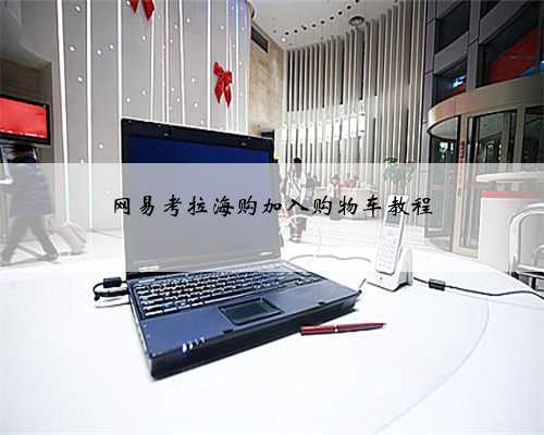 网易考拉海购加入购物车教程