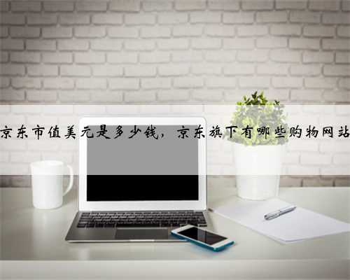 京东市值美元是多少钱，京东旗下有哪些购物网站