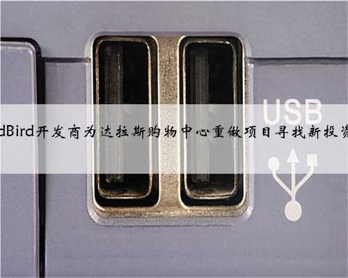 RedBird开发商为达拉斯购物中心重做项目寻找新投资者