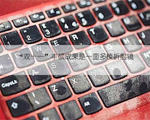 “双十一”丰硕成果是一面多棱折射镜