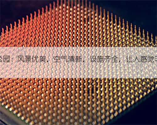 塘朗山公园：风景优美，空气清新，设施齐全，让人感觉非常舒适