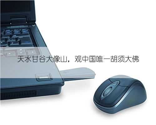 天水甘谷大像山，观中国唯一胡须大佛