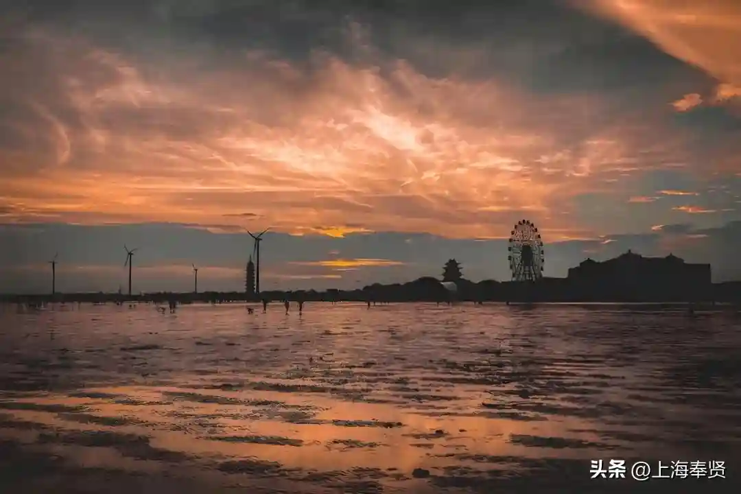 龙飞奉5·5购贤城丨上海“五五购物节”奉贤购物活动全攻略来啦→