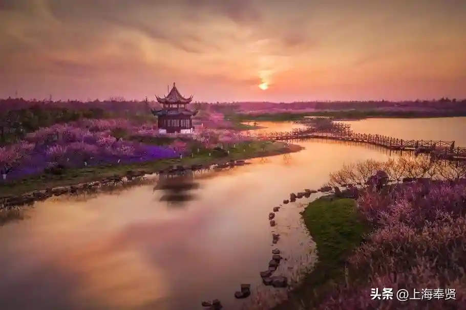 龙飞奉5·5购贤城丨上海“五五购物节”奉贤购物活动全攻略来啦→