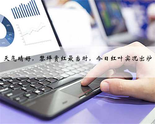 天气晴好，黎坪赏红最当时，今日红叶实况出炉