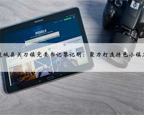 专访通城县关刀镇党委书记黎记明：聚力打造特色小镇发展圈