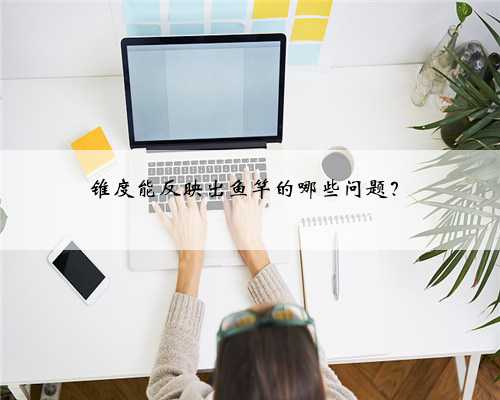 锥度能反映出鱼竿的哪些问题？