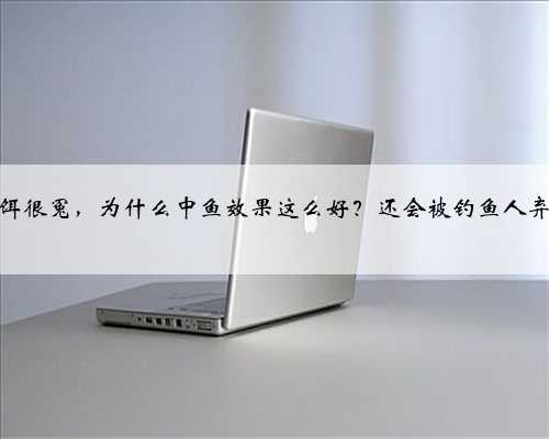 面饵很冤，为什么中鱼效果这么好？还会被钓鱼人弃用