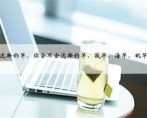 怎么正确选择钓竿，你会不会选择钓竿，筏竿，海竿，矶竿，路亚竿