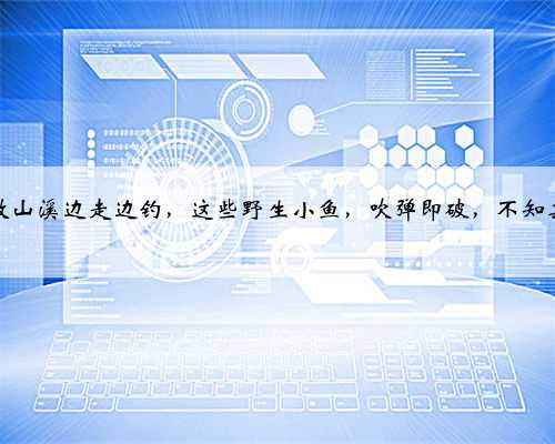 清澈山溪边走边钓，这些野生小鱼，吹弹即破，不知其名