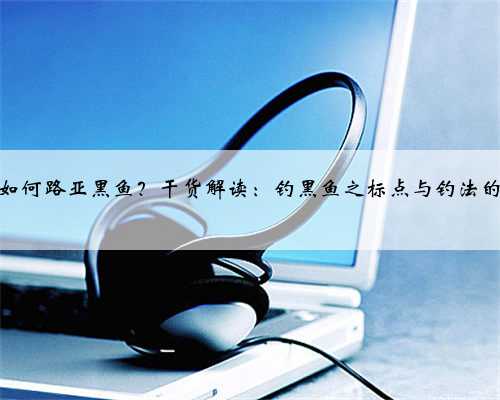 春季如何路亚黑鱼？干货解读：钓黑鱼之标点与钓法的选择