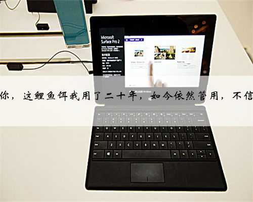 早就提醒你，这鲤鱼饵我用了二十年，如今依然管用，不信就试一试