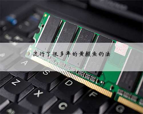 流行了很多年的黄颡鱼钓法