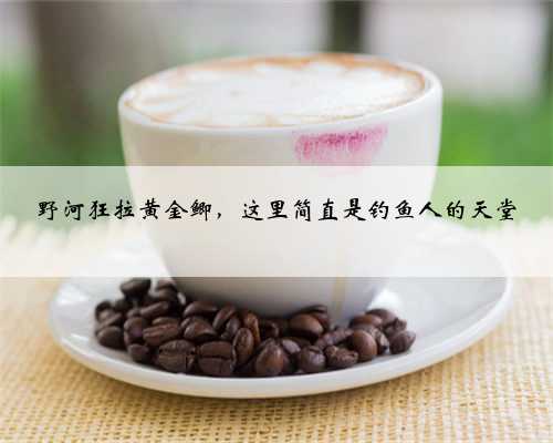 野河狂拉黄金鲫，这里简直是钓鱼人的天堂