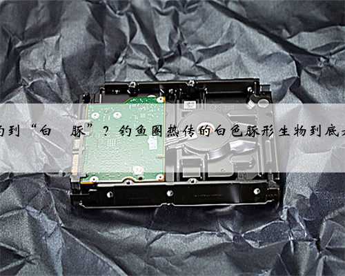 钓鱼钓到“白鱀豚”？钓鱼圈热传的白色豚形生物到底是什么