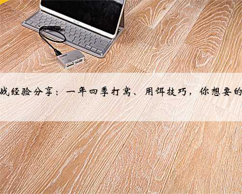 老钓友实战经验分享：一年四季打窝、用饵技巧，你想要的全在这！