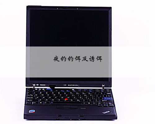 夜钓钓饵及诱饵