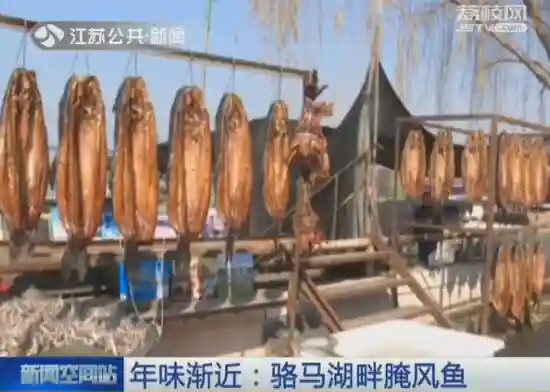 年味渐近：骆马湖畔腌风鱼