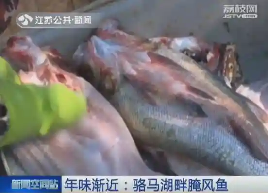 年味渐近：骆马湖畔腌风鱼