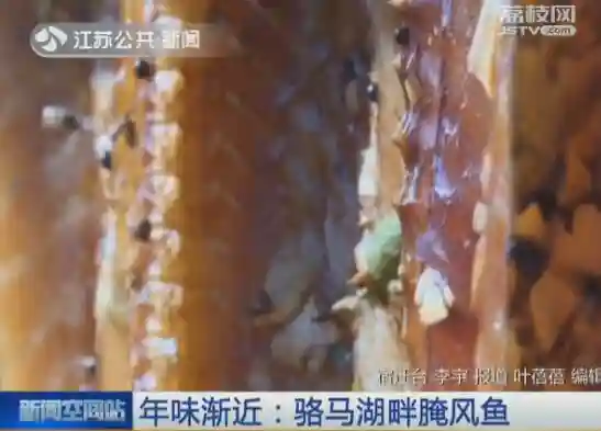 年味渐近：骆马湖畔腌风鱼