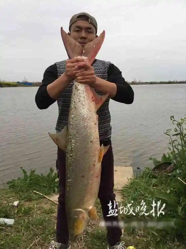 冬钓轻口不会调漂？这四招很实用！