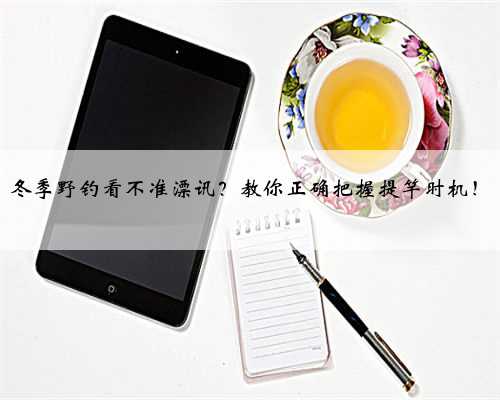 冬季野钓看不准漂讯？教你正确把握提竿时机！