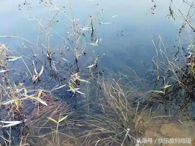 冬季野钓看不准漂讯？教你正确把握提竿时机！