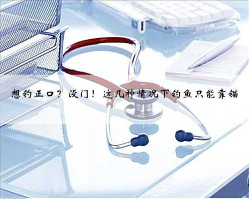 想钓正口？没门！这几种情况下钓鱼只能靠锚