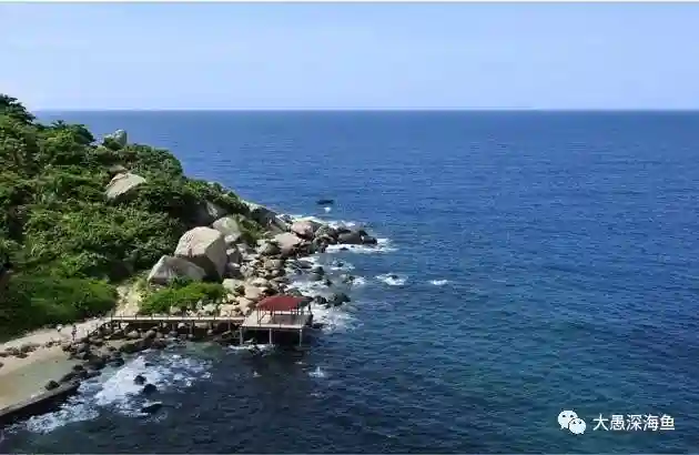 如何自制海钓饵料——海蛆？