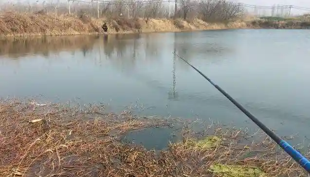 传统钓法并不过时，试试朝天钩，回忆过去还能钓到鱼