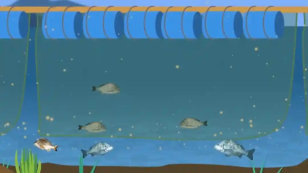 鱼排选择钓位6个法门，不用羡慕别人连竿，你也可以做到