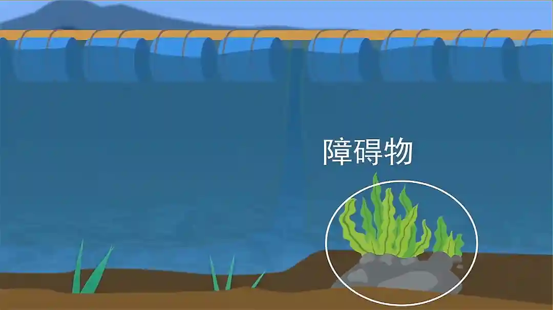 鱼排选择钓位6个法门，不用羡慕别人连竿，你也可以做到