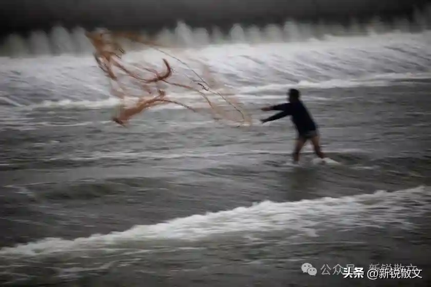 捕鱼的乐趣，不仅在捕，还在取鱼