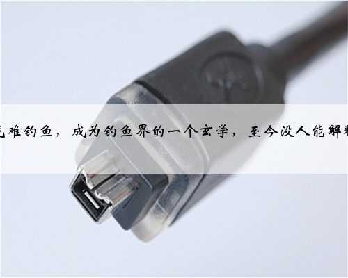 遇节气难钓鱼，成为钓鱼界的一个玄学，至今没人能解释清楚