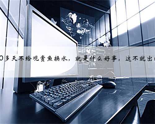 别以为40多天不给观赏鱼换水，就是什么好事，这不就出问题了？