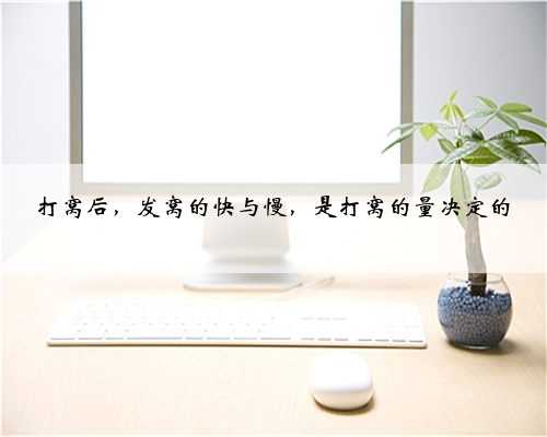 打窝后，发窝的快与慢，是打窝的量决定的